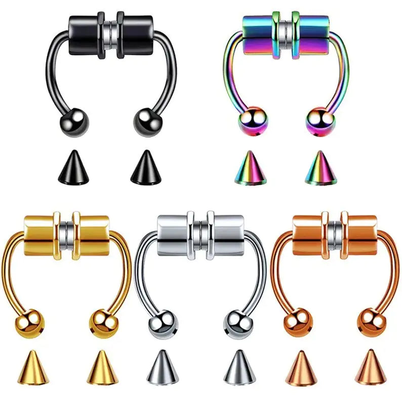 Magnetic Septum Ring WEM Support (www.WEM.support)