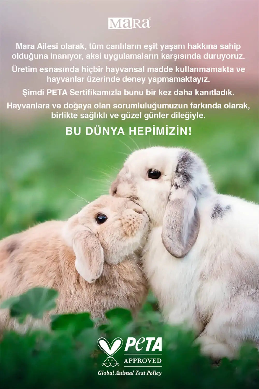 Wemara Dark Midnight Set (Body Mist+Body Cream) WEM Support (www.WEM.support)