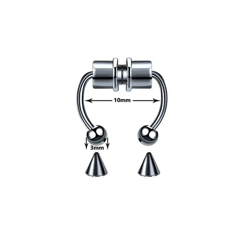 Magnetic Septum Ring WEM Support (www.WEM.support)