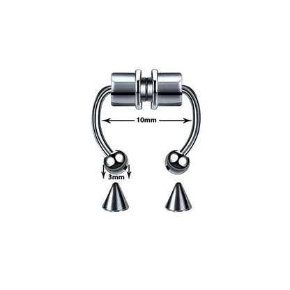 Magnetic Septum Ring WEM Support (www.WEM.support)