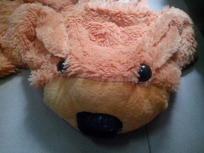 Blank Teddy Bearskin Coat WEM Support (www.WEM.support)