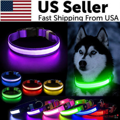LED Adjustable Dog Collar Blinking Flashing Light Up Glow Pets Safety Waterproof WEM Support (www.WEM.support)