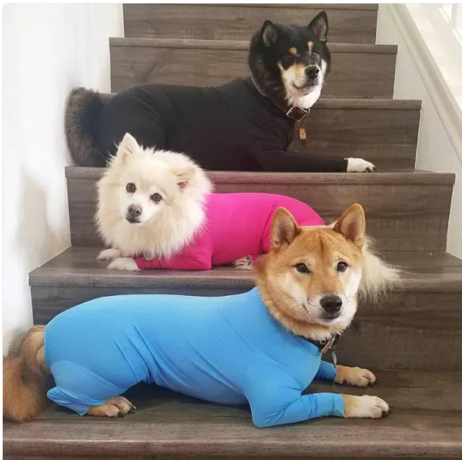Three dogs wearing pet jumpsuits in different colors (black, pink, and blue) on a staircase.