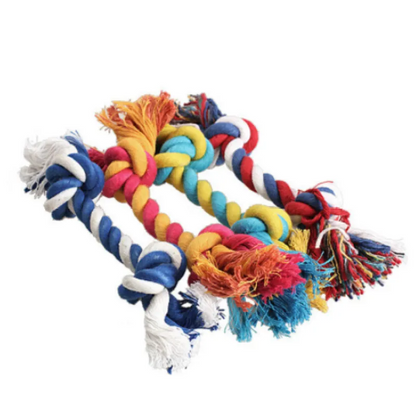 Pet dog bites rope toy