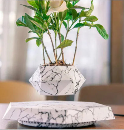 Magnetic Floating Flower Pot WEM Support (www.WEM.support)
