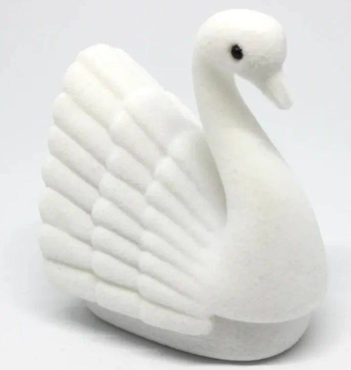 Turtle Treasure Ring Box WEM Support (www.WEM.support)