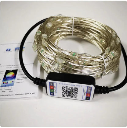 Luzes de Cordão de Arame de Cobre Controladas por Bluetooth com Sincronização Musical WEM Support (www.WEM.support)