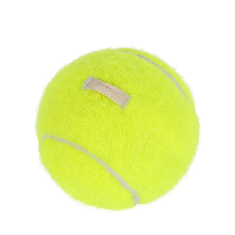 Gummiband Trainings-Praxisball Gürtel WEM Support (www.WEM.support)