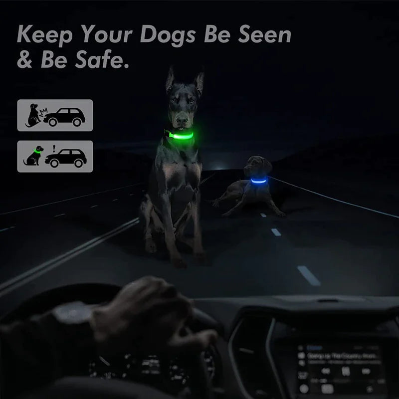 LED Adjustable Dog Collar Blinking Flashing Light Up Glow Pets Safety Waterproof WEM Support (www.WEM.support)