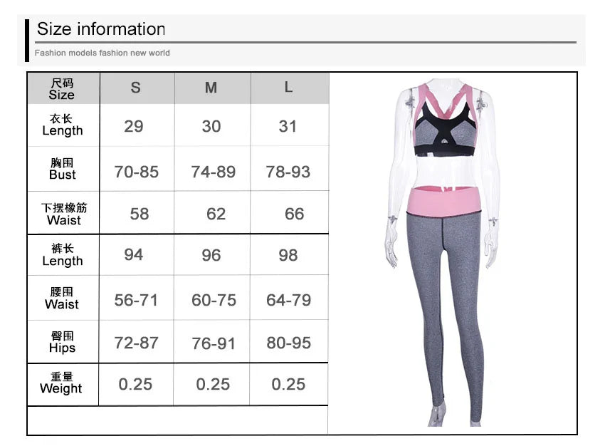 Ellipse Fit Workout 2er Set WEM Support (www.WEM.support)