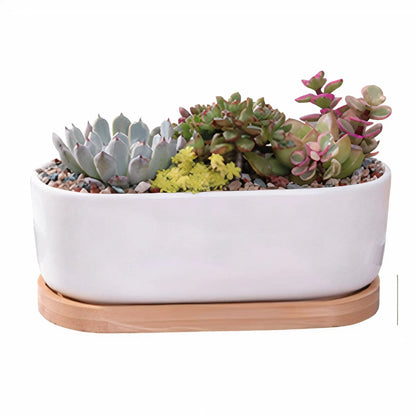 Succulent Planter -Elongated HejK.com