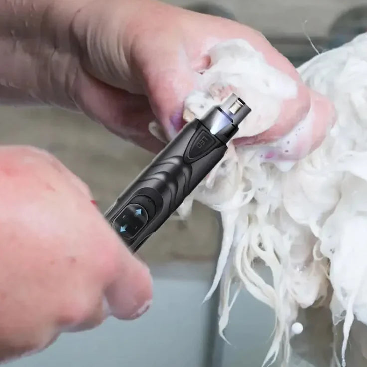 Lixadora de Unhas PawGlow HejK.com