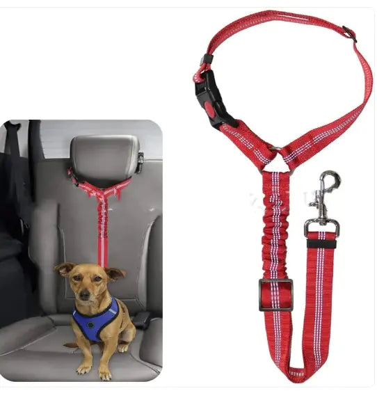 Pet Car Harness WEM Support (www.WEM.support)