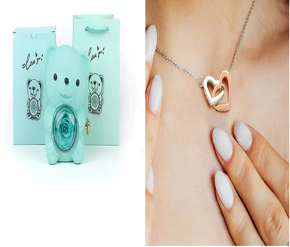 Eternal Rose Teddy Bear Gift Box with Necklace