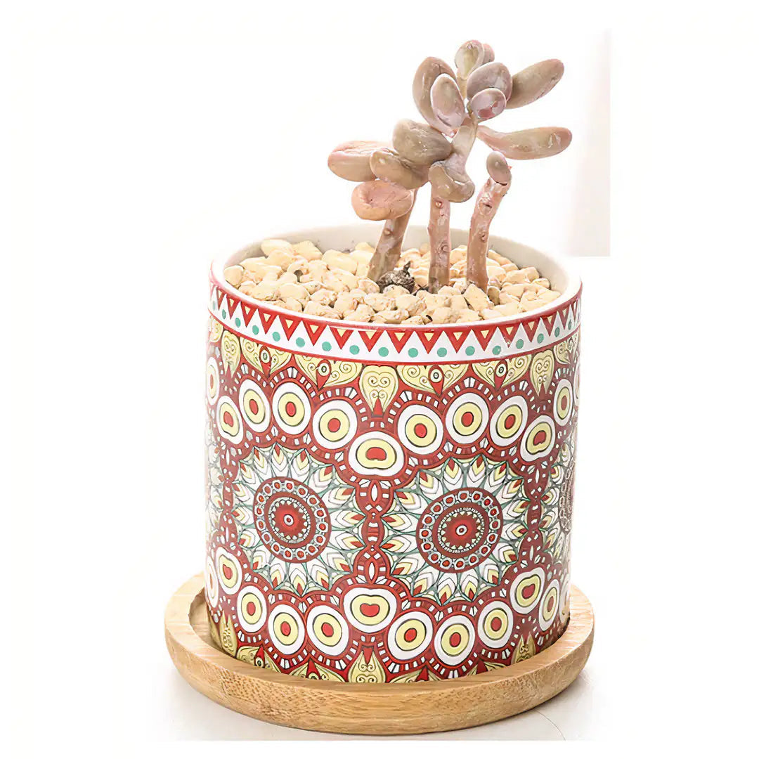 Mandala Planter Set of 4 WEM Support (www.WEM.support)