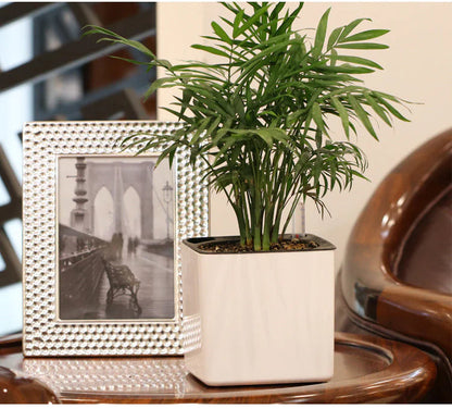 Water-Absorbing Planter HejK.com