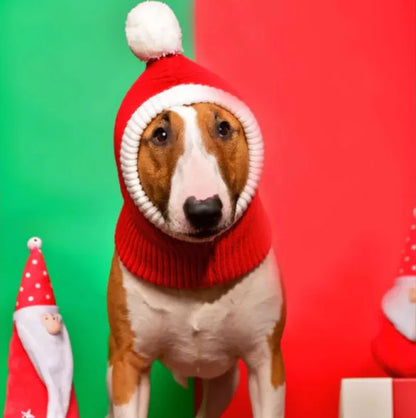 Woolen Pet Hat for Autumn & Winter