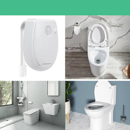 LED Toilet Light Intelligent Automatic Induction HejK.com