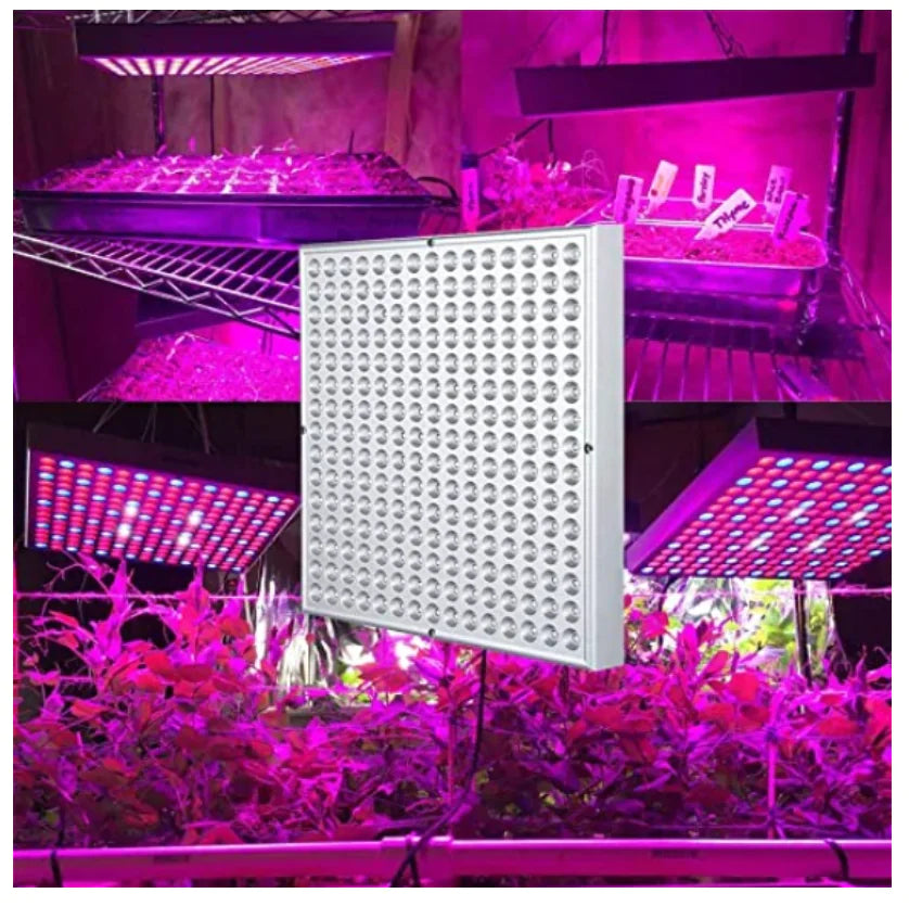 LED Grow Lamp