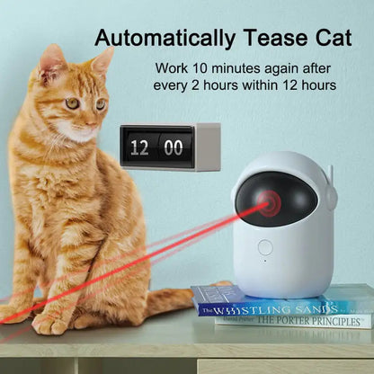 Auto Laser Playtime for Cats HejK.com Marketplace LLC