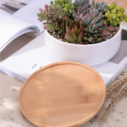 Succulent Planter - Round WEM Support (www.WEM.support)