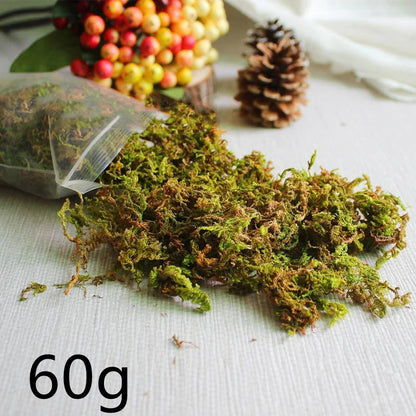 Simulated Moss Landscape Decor WEM Support (www.WEM.support)