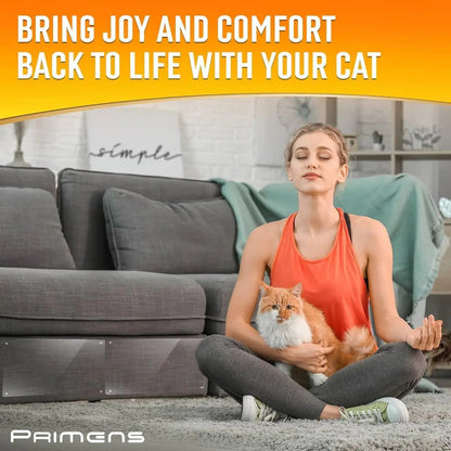 Protetores de Móveis Anti-arranhão para Gatos de Alta Resistência para Sofá Transparente 16 Folhas HejK.com