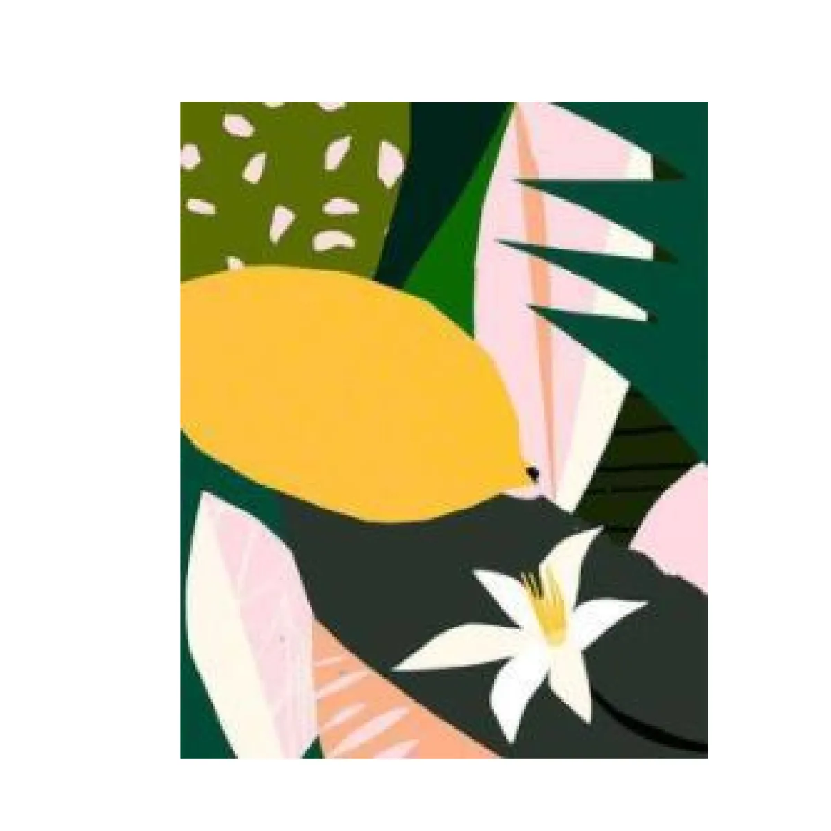 Plants Painting By Numbers - HejK.com Marketplace LLC