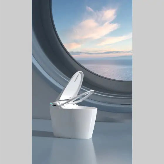 Smart Toilets WEM Support (www.WEM.support)