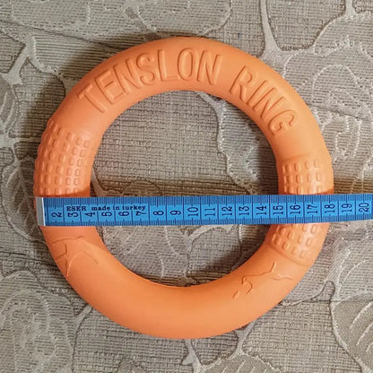 Anel de Treinamento Interativo EVA - Catch Cards