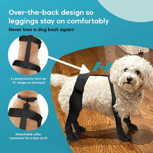 Anti - Dirty Dog Shoes for Pet Supplies - Catch Cards