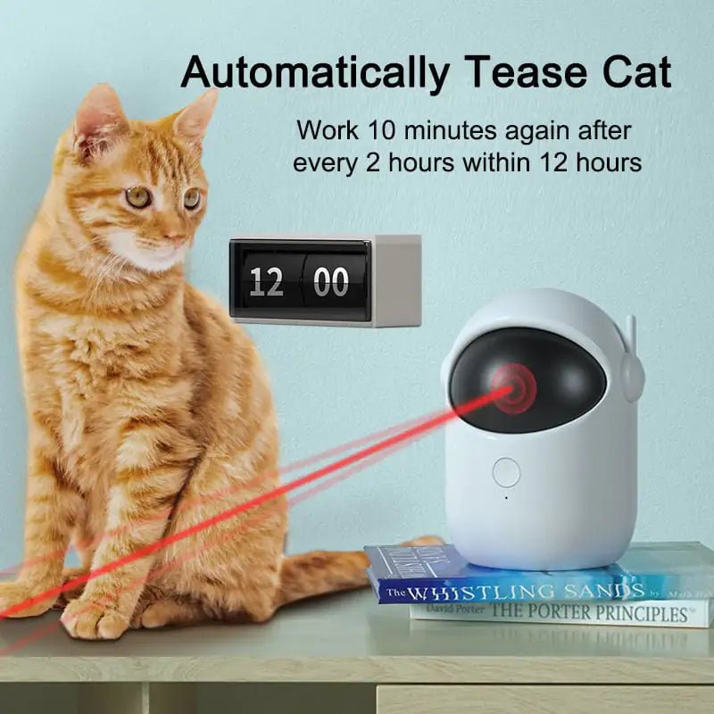 Auto Laser Playtime for Cats - Catch Cards
