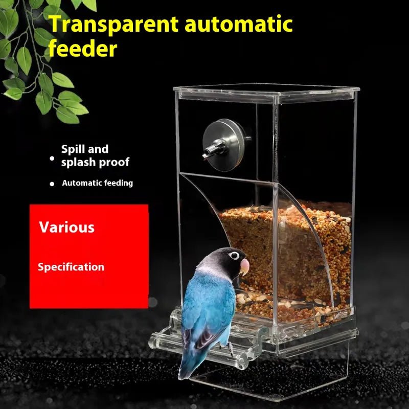 Automatic Plug - in Bird Feeder - Catch Cards