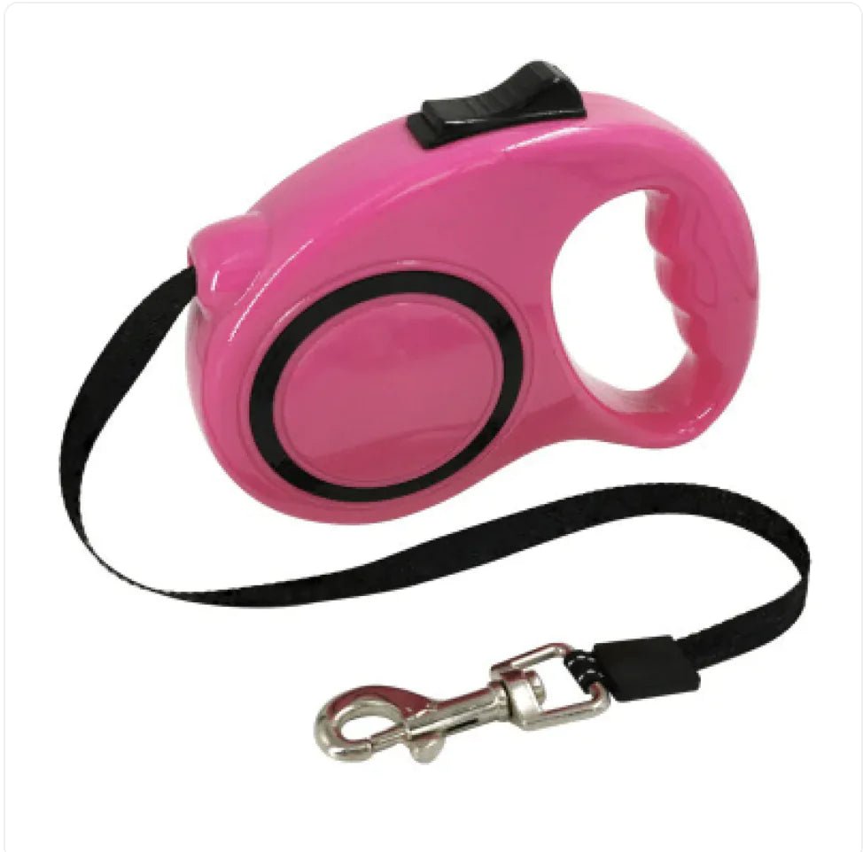 Automatic Retractable Dog Leash with Bone Print - Catch Cards