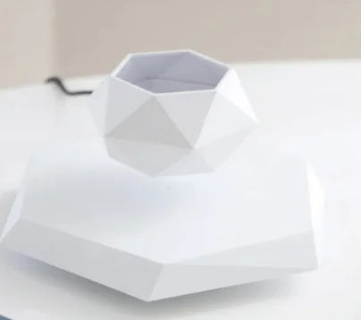 Magnetic Floating Flower Pot WEM Support (www.WEM.support)