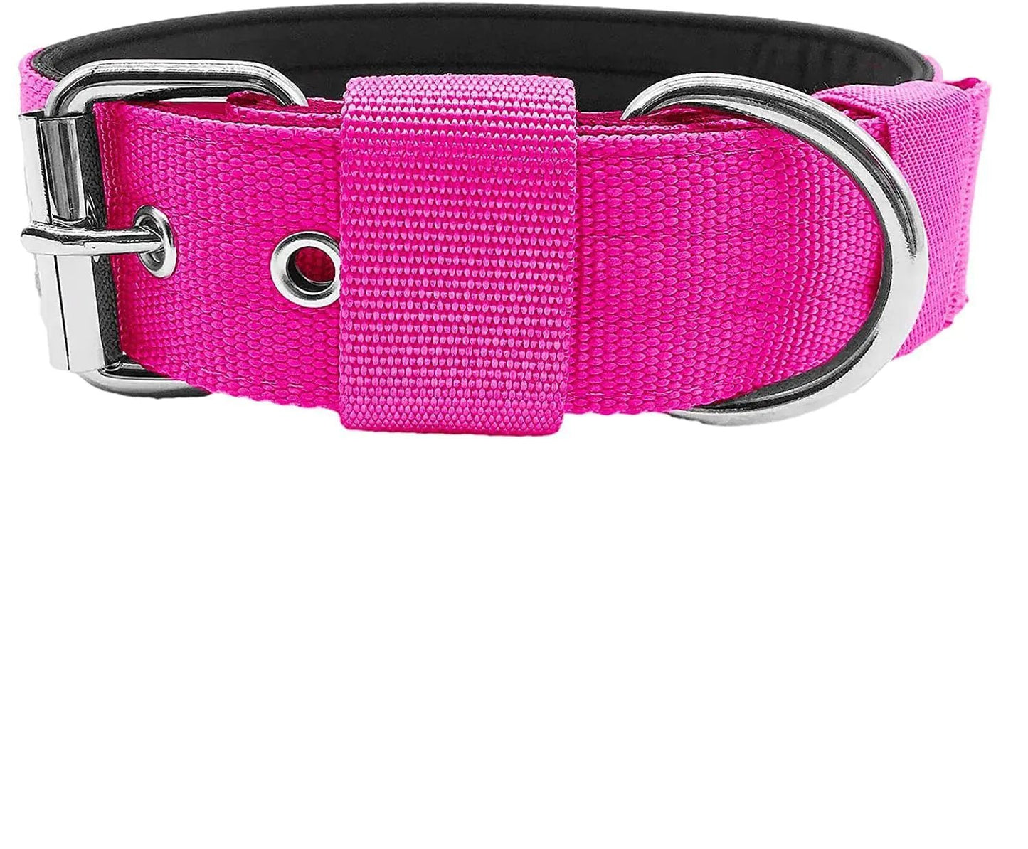 Bandana Collar de Espuma para Perros - Catch Cards