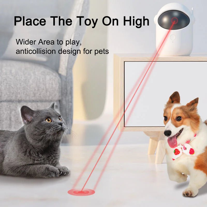 Brinquedo Automático a Laser para Gatos - Catch Cards