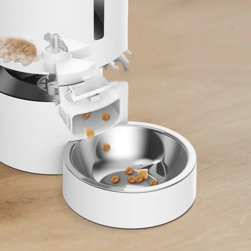 Cat Feeder with Dual Bowls - Catch Cards