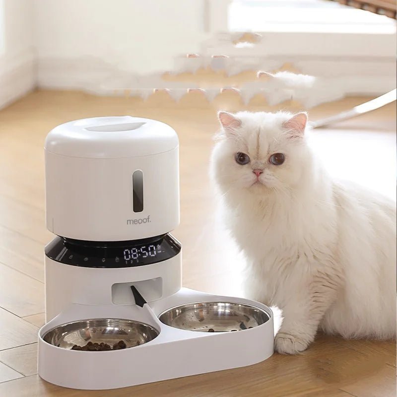 Cat Feeder with Dual Bowls - Catch Cards