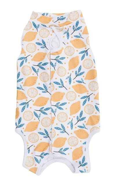 Cat Sterilization Clothing Post - operation - Catch Cards