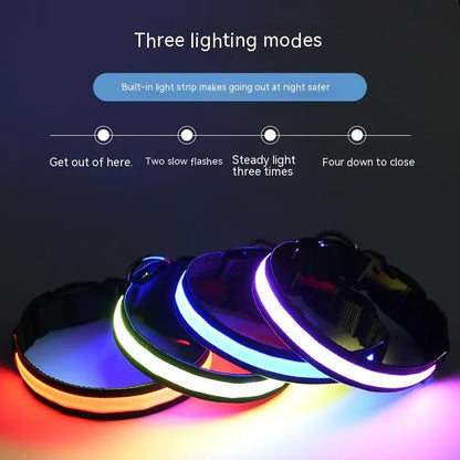 Collar LED de Pesca con Carga USB - Catch Cards