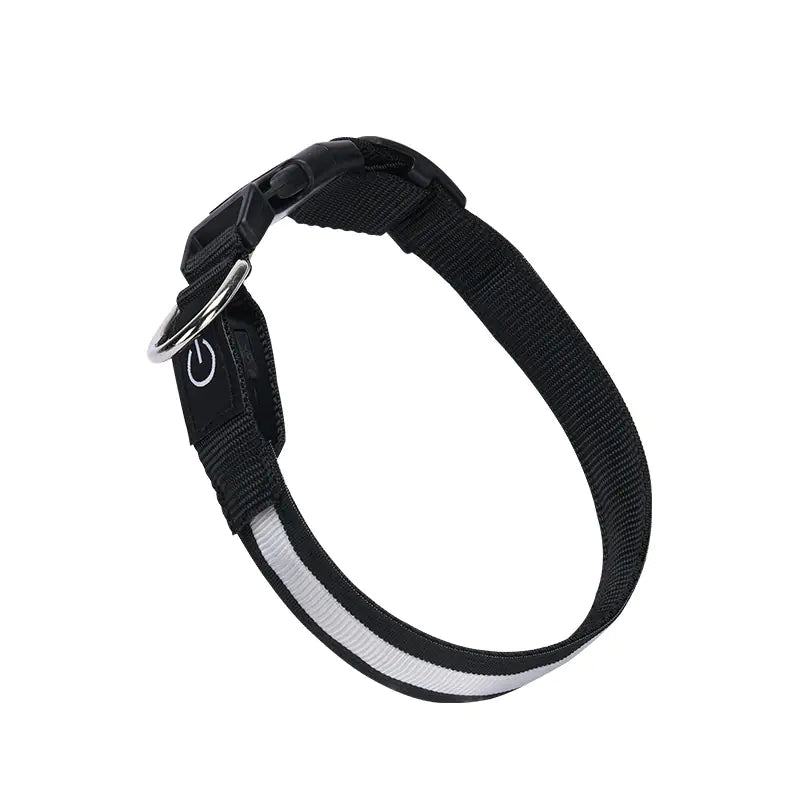 Collar LED de Pesca con Carga USB - Catch Cards