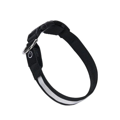 Collar LED de Pesca con Carga USB - Catch Cards