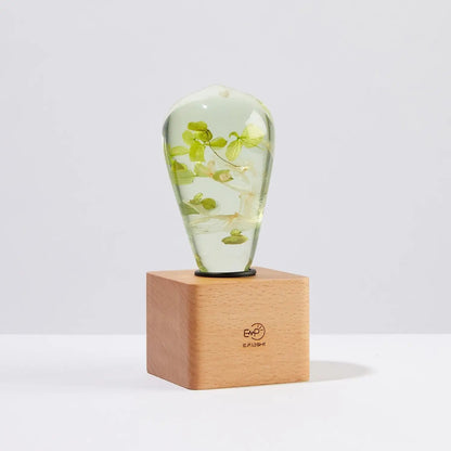 HydraGlow Lamp WEM Support (www.WEM.support)