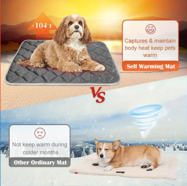 Self-Heating Thermal Pet Mat WEM Support (www.WEM.support)