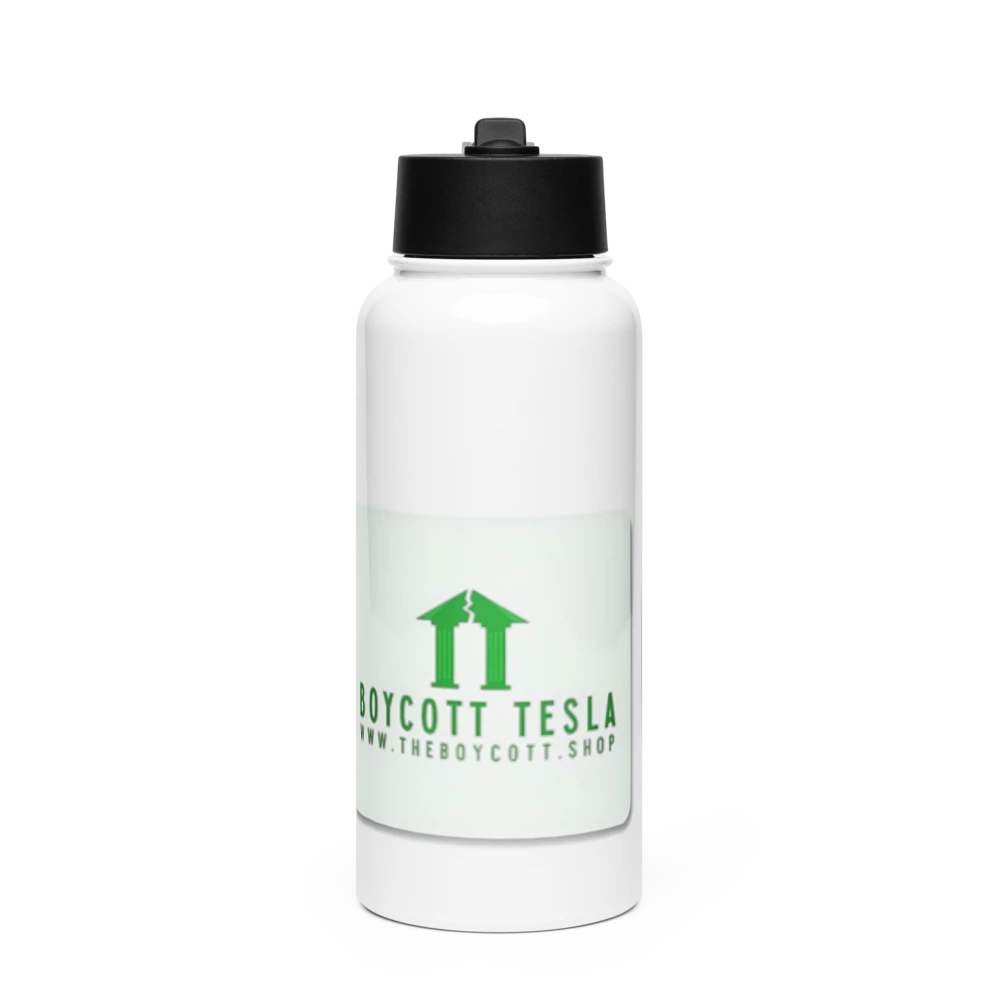 Stainless Steel Water Bottle with Straw Lid HejK.com Marketplace LLC