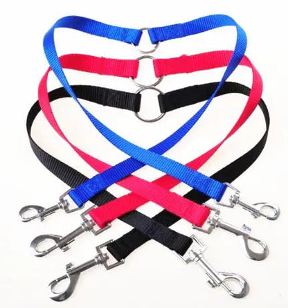 Double Coupler Dog Leash WEM Support (www.WEM.support)