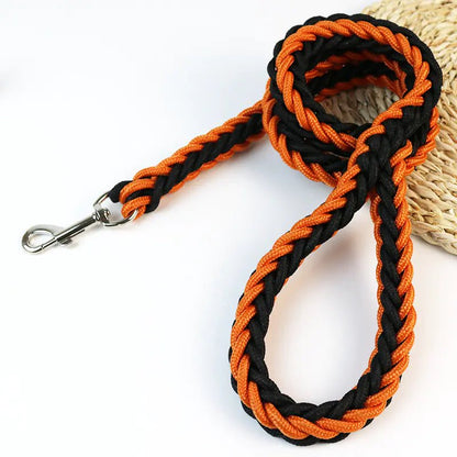 Eight - Strand Adventure Dog Leash - Catch Cards