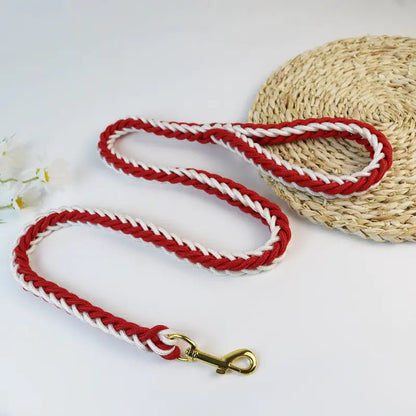 Eight - Strand Adventure Dog Leash - Catch Cards