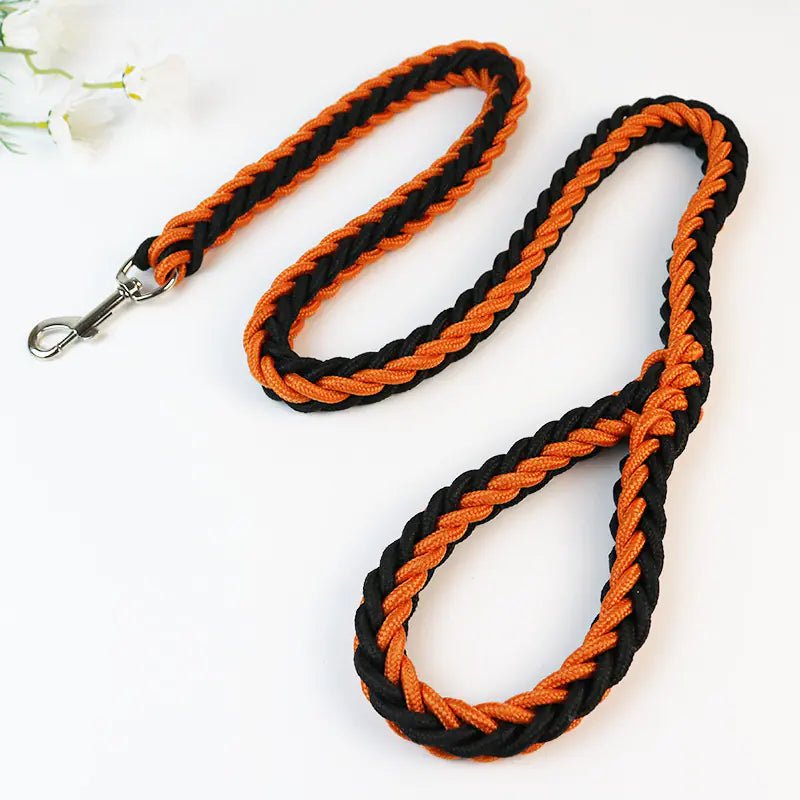 Eight - Strand Adventure Dog Leash - Catch Cards
